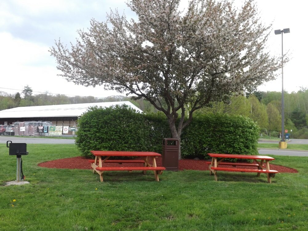 Фото Super 8 by Wyndham Sidney Ny