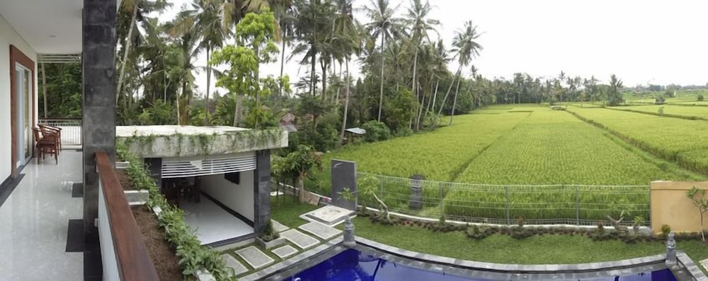 Фото Long Lane Homestay Bali