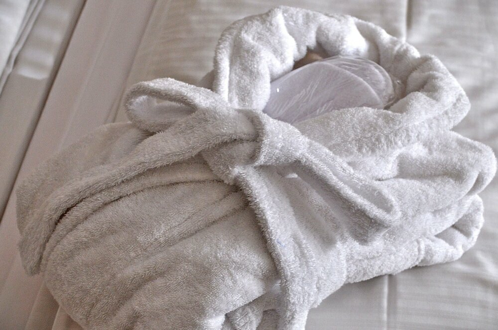 Фото Savoy Hotel Frankfurt