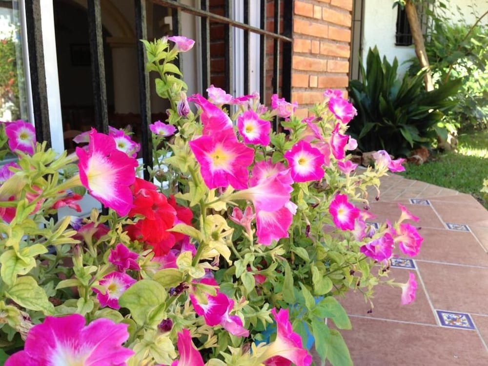 Фото Hotel Carmen Teresa