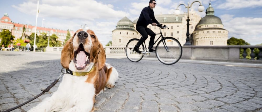 Фото Clarion Hotel Örebro