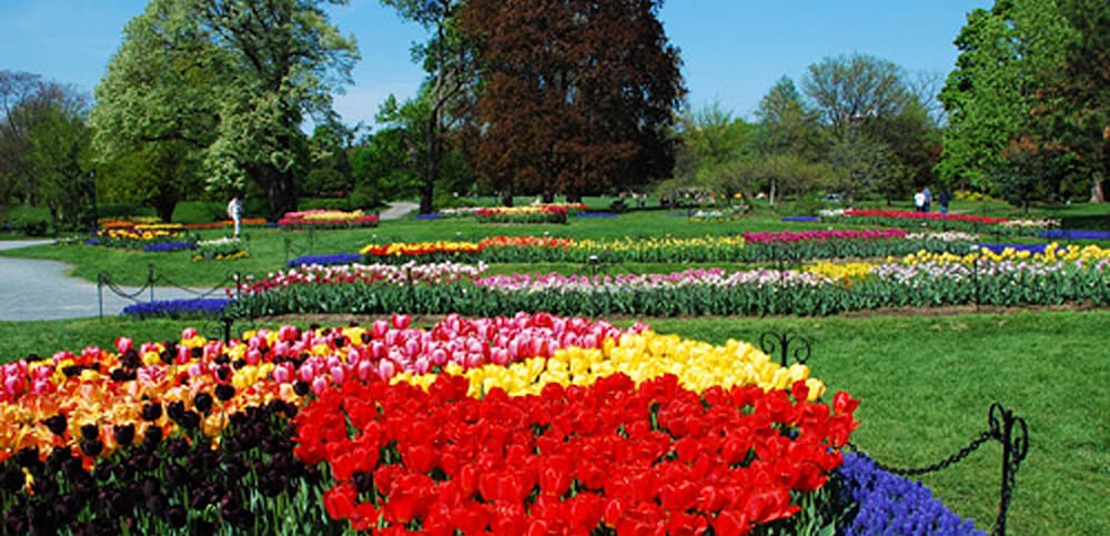 Фото The Morgan State House