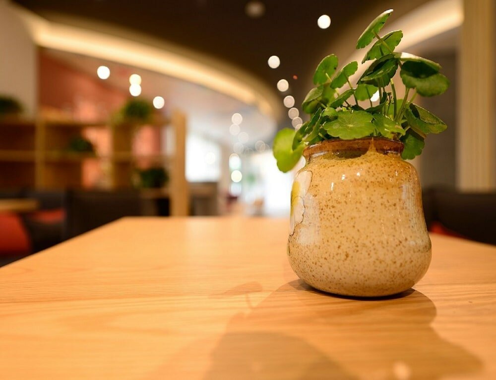 Фото Ibis Shanghai New Hongqiao