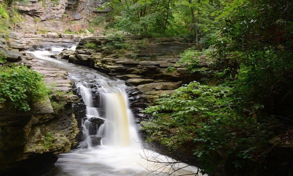 Фото Hilton Scranton & Conference Center