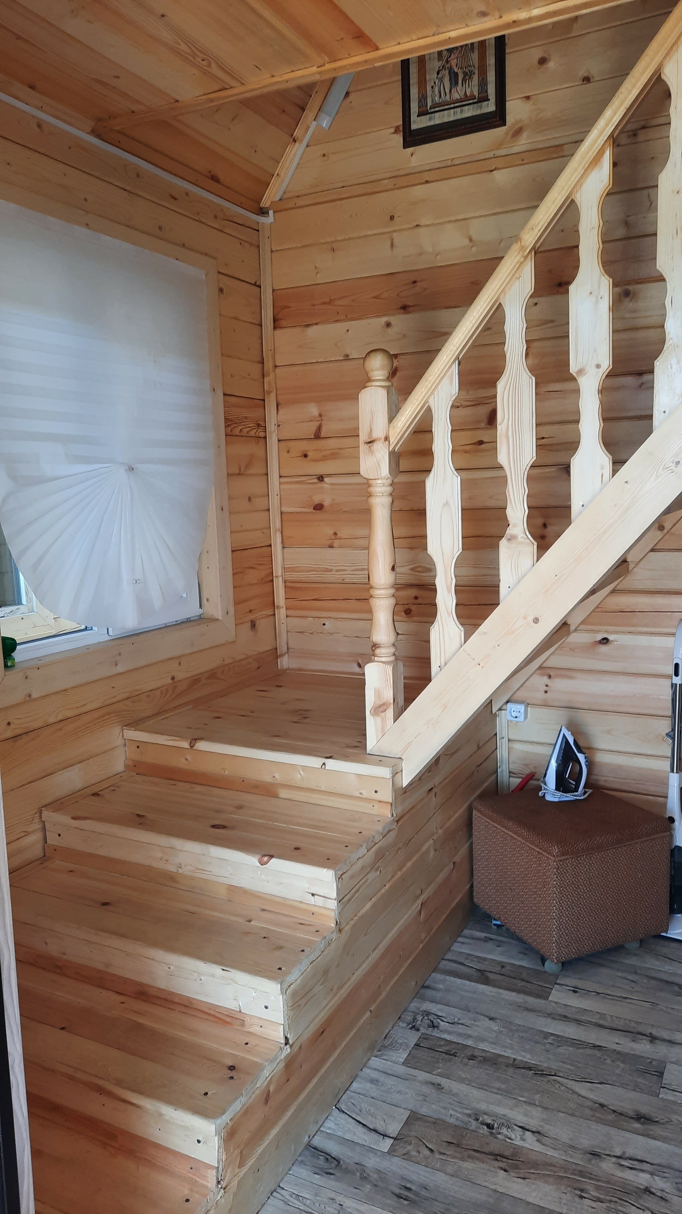 Фото Жасмин