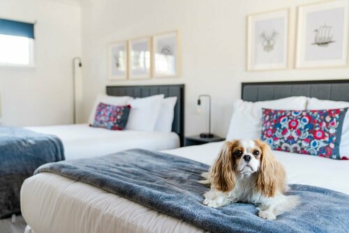 Гостиница Viking Motel Solvang в Солванге
