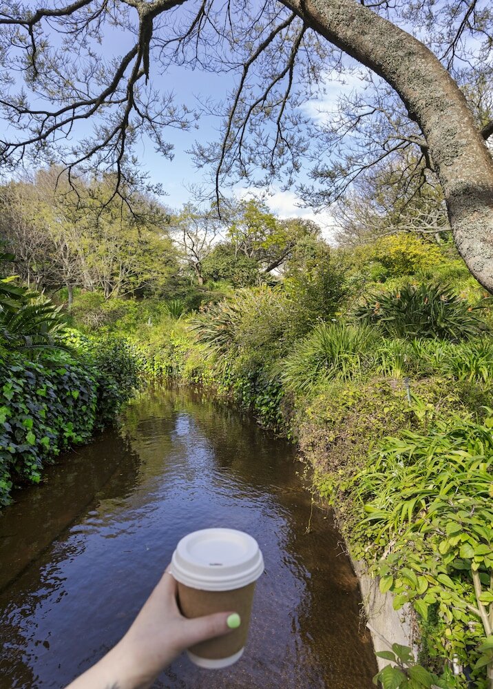 Фото Vineyard Hotel