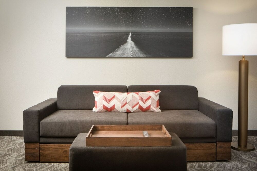 Фото SpringHill Suites Dallas Downtown West End