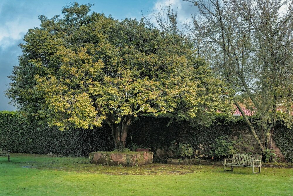 Фото Hotel Palacio del Carmen, Autograph Collection
