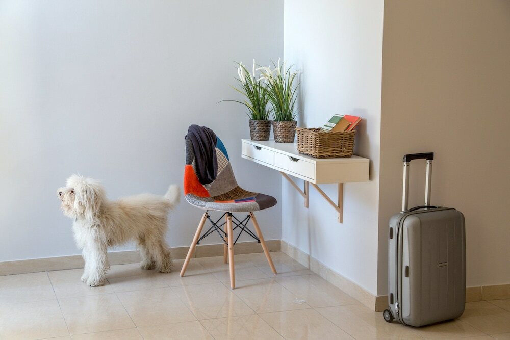 Фото Urban Garden