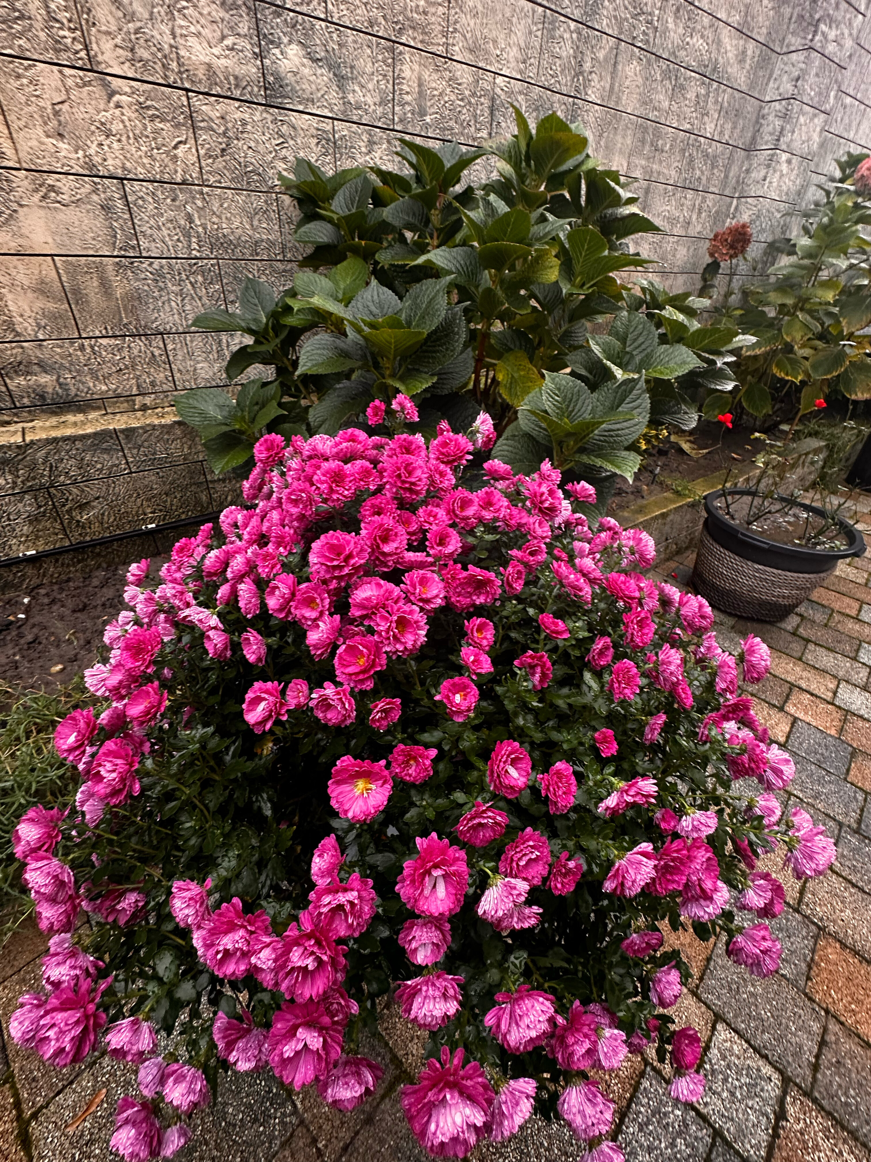 Фото LooSPAngeles