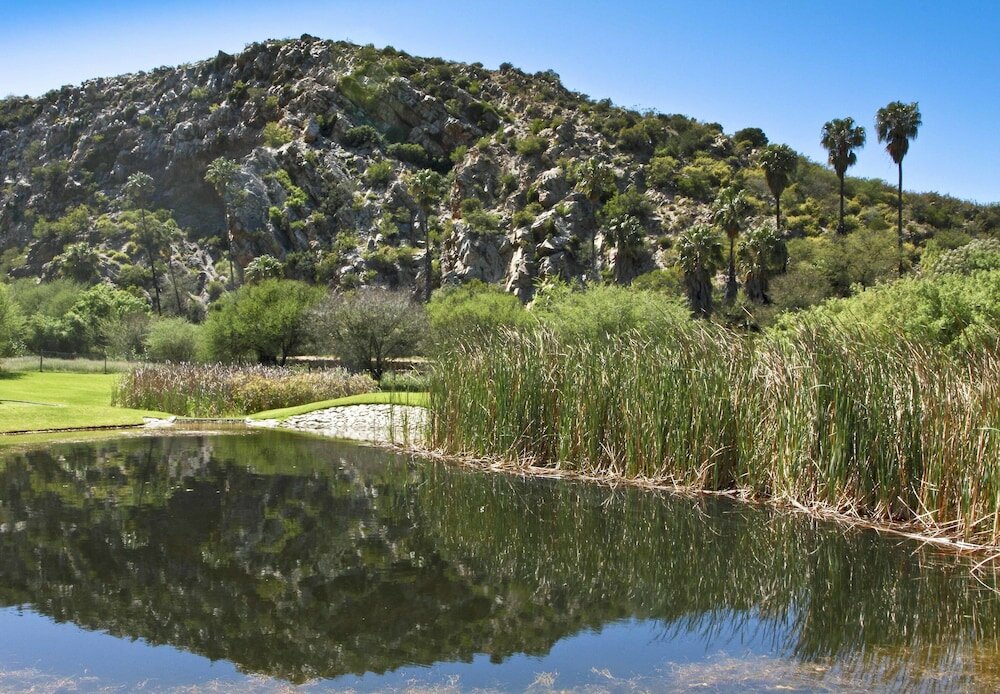 Фото Montagu Vines Guest House