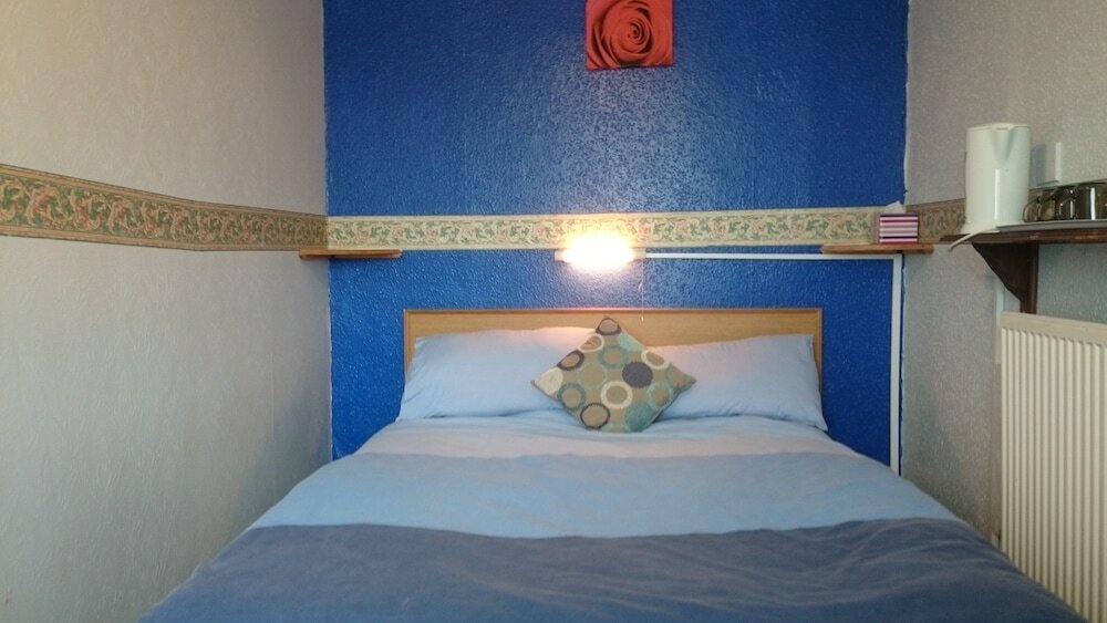 Фото Tulip Hotel