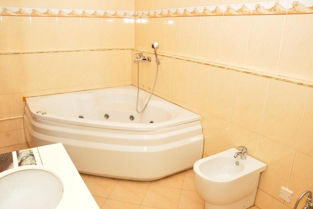 Фото Biraj International Hotel