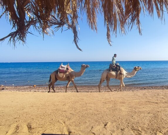 Фото Retac Qunay Resort & SPA