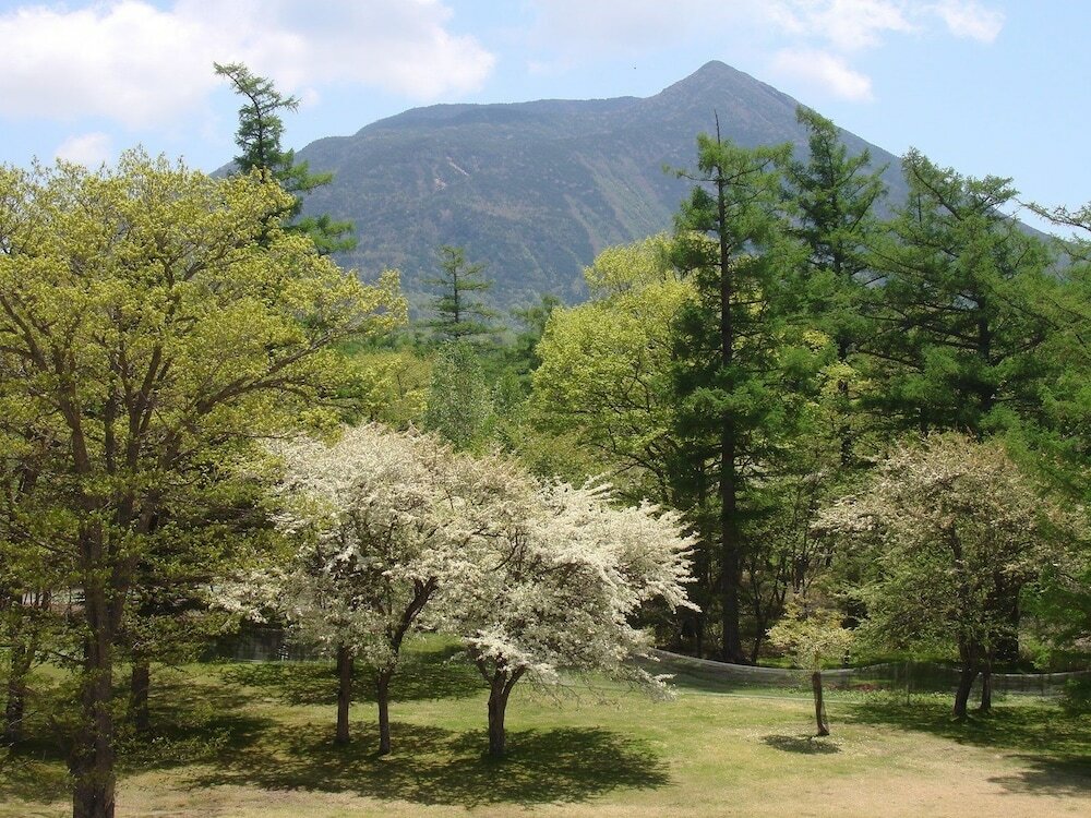 Фото Nikko Astraea Hotel