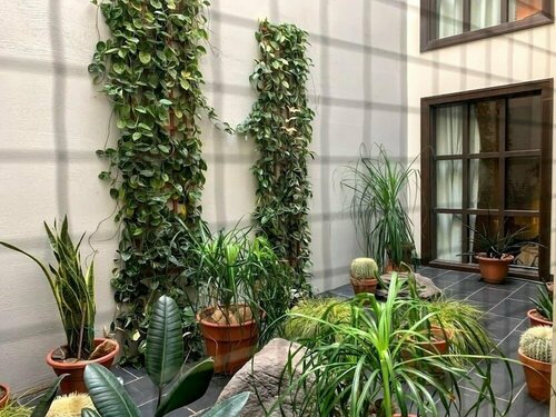 Внешний вид отеля Hôtel Sainte-Anne в Квебеке, фото 4