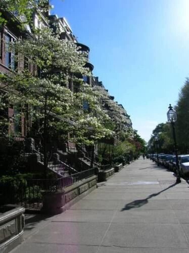 Внешний вид отеля The College Club of Boston в Бостоне, фото 4