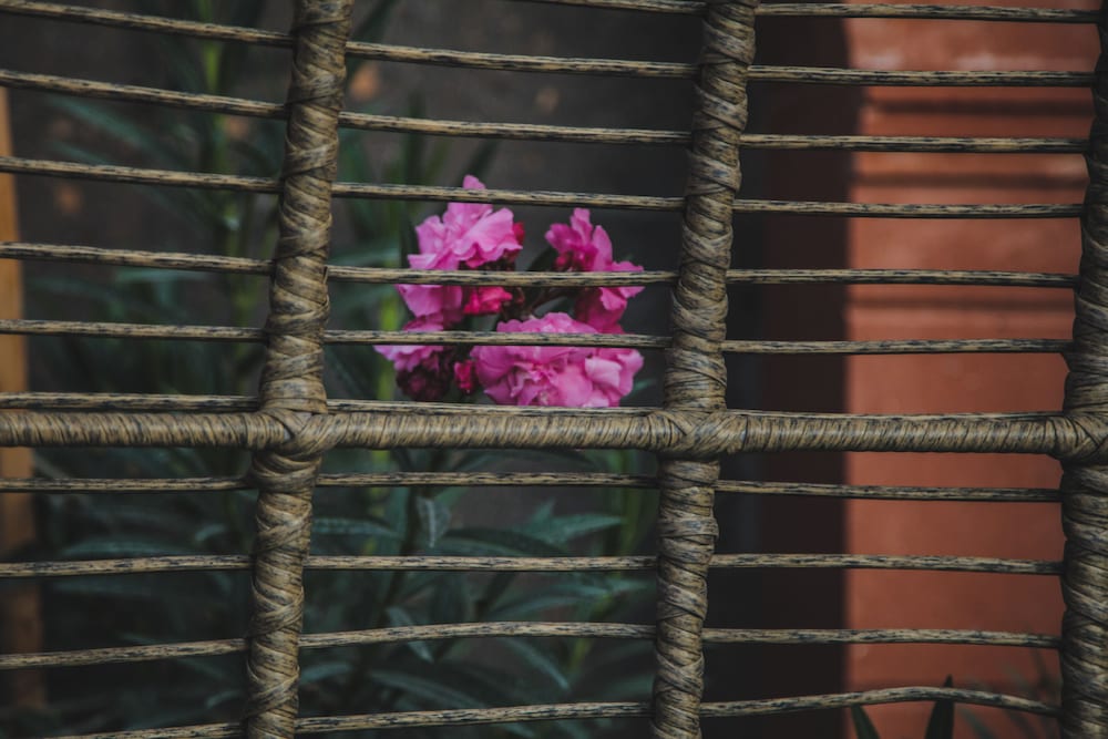 Фото Konyak Hotel