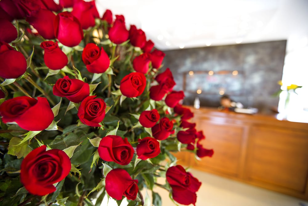 Фото Hotel Ambato