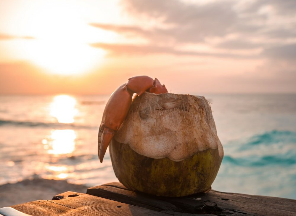 Фото Nungwi Beach Resort by Turaco