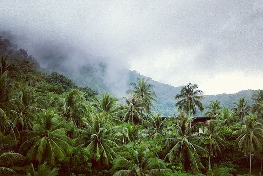 Фото Lae Lay Suites