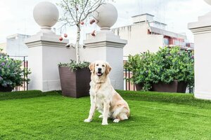 Гостиница 200 Rooms & Terrace