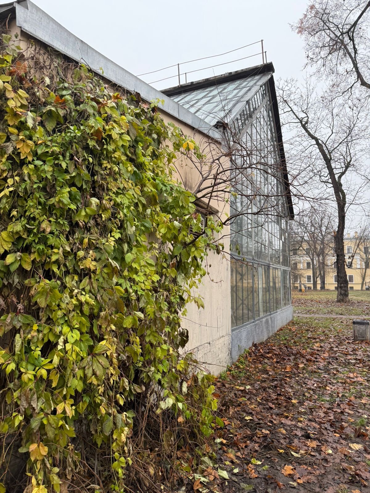 Фото Hotel Edelweiss