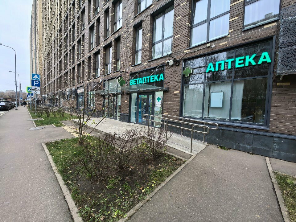 Contact lenses Линзы Тут, Moscow, photo