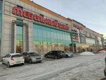 Furniture Store (Pavlovsky Highway, 251Ж), furniture store