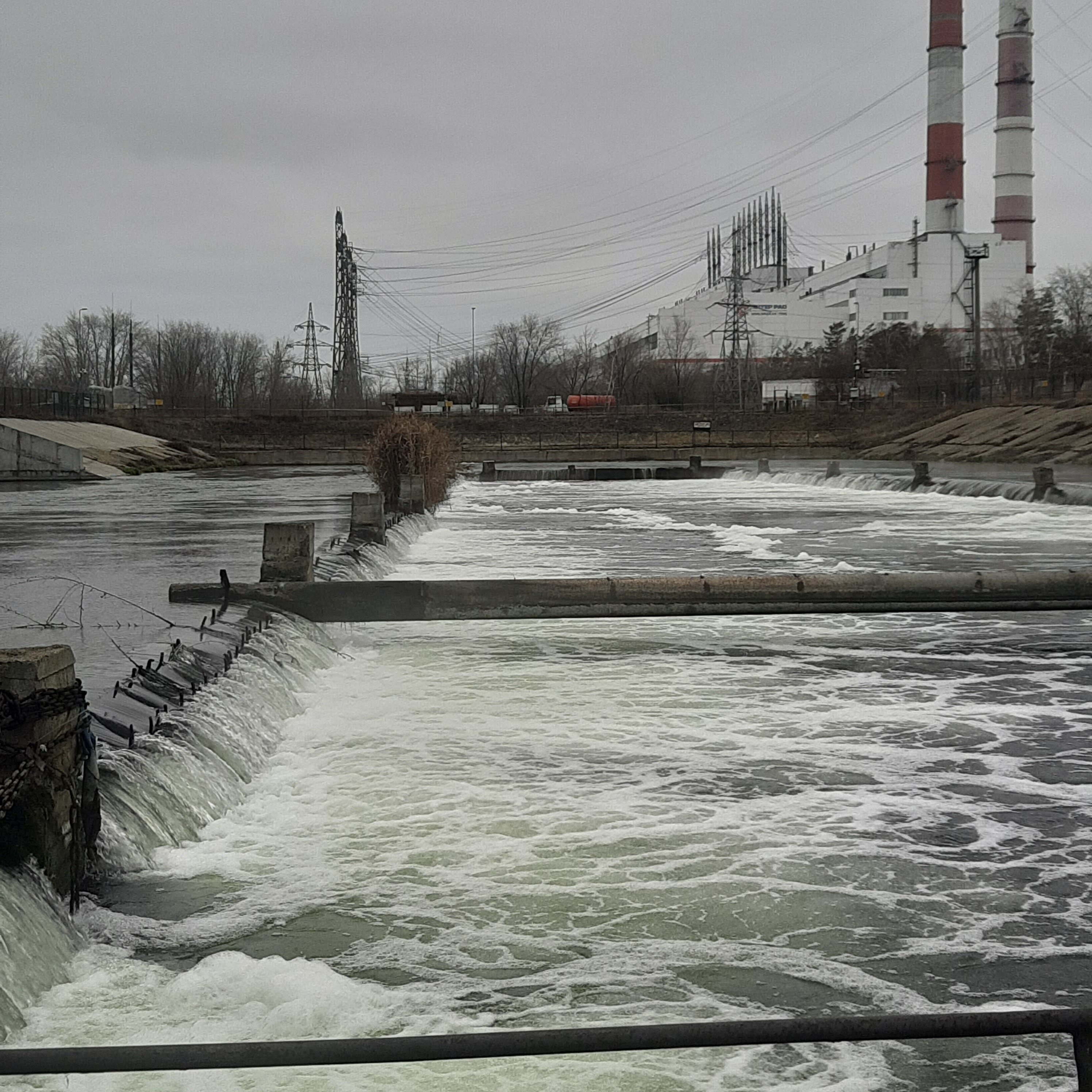 Фото Лукоморье