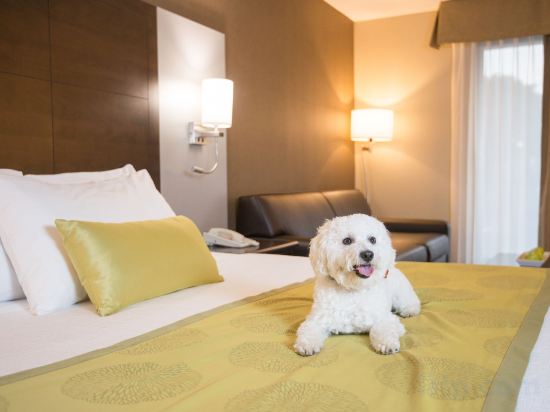 Фото Best Western Plus Leamington Hotel & Conference Centre