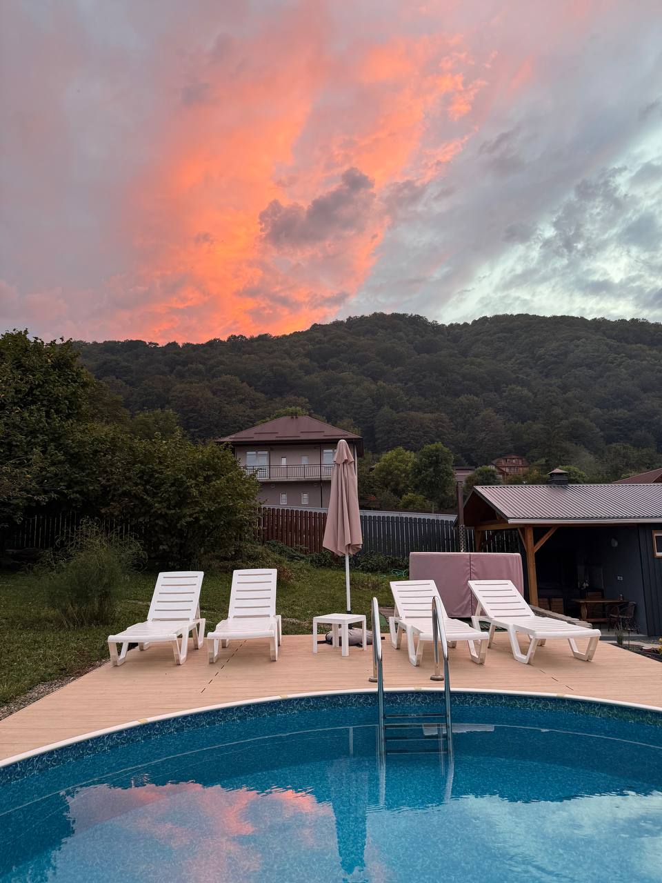 Фото Смородина