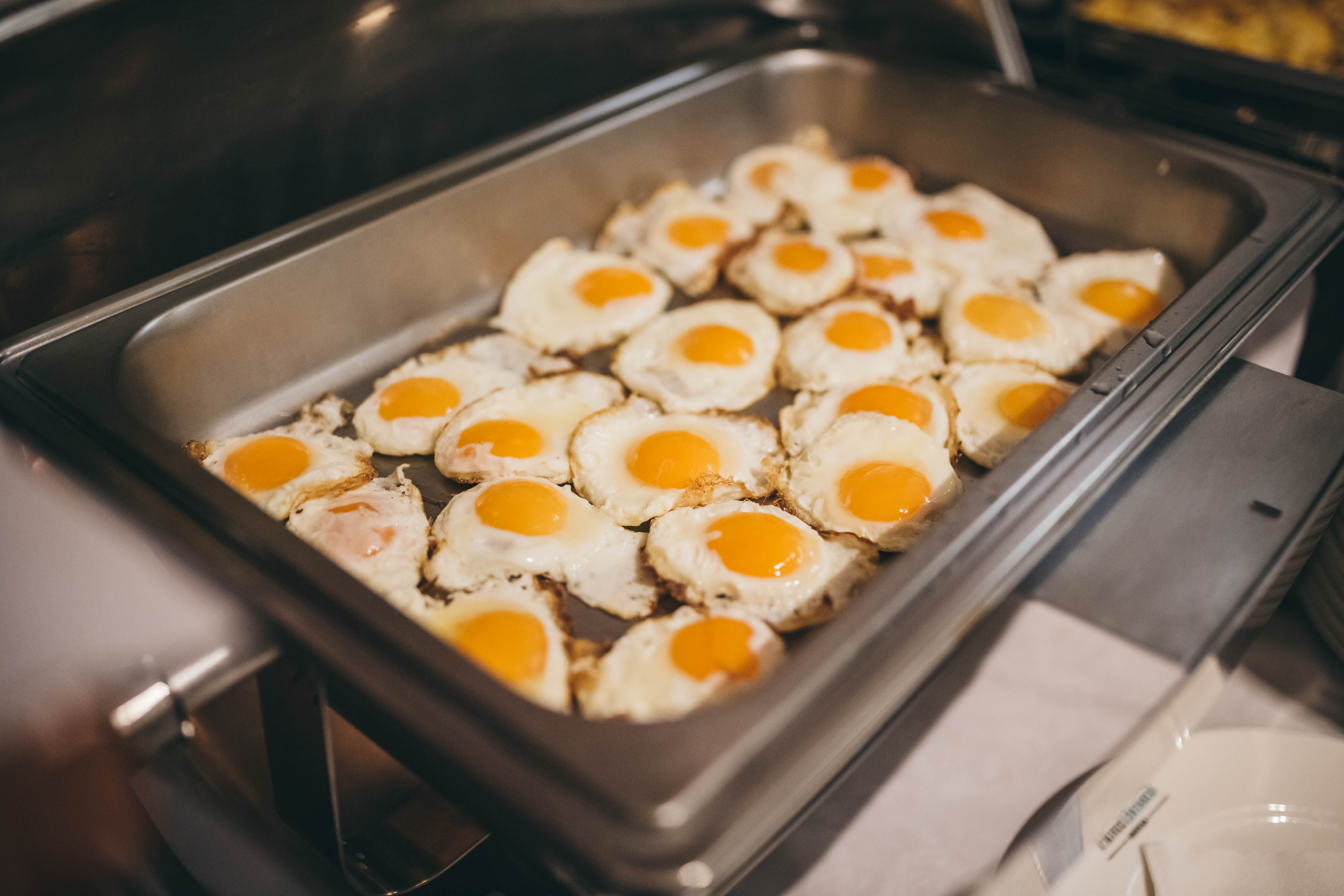 Фото Hotel Bristol