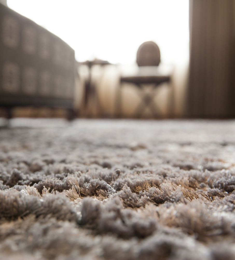 Фото Dragon Pearl Hotel