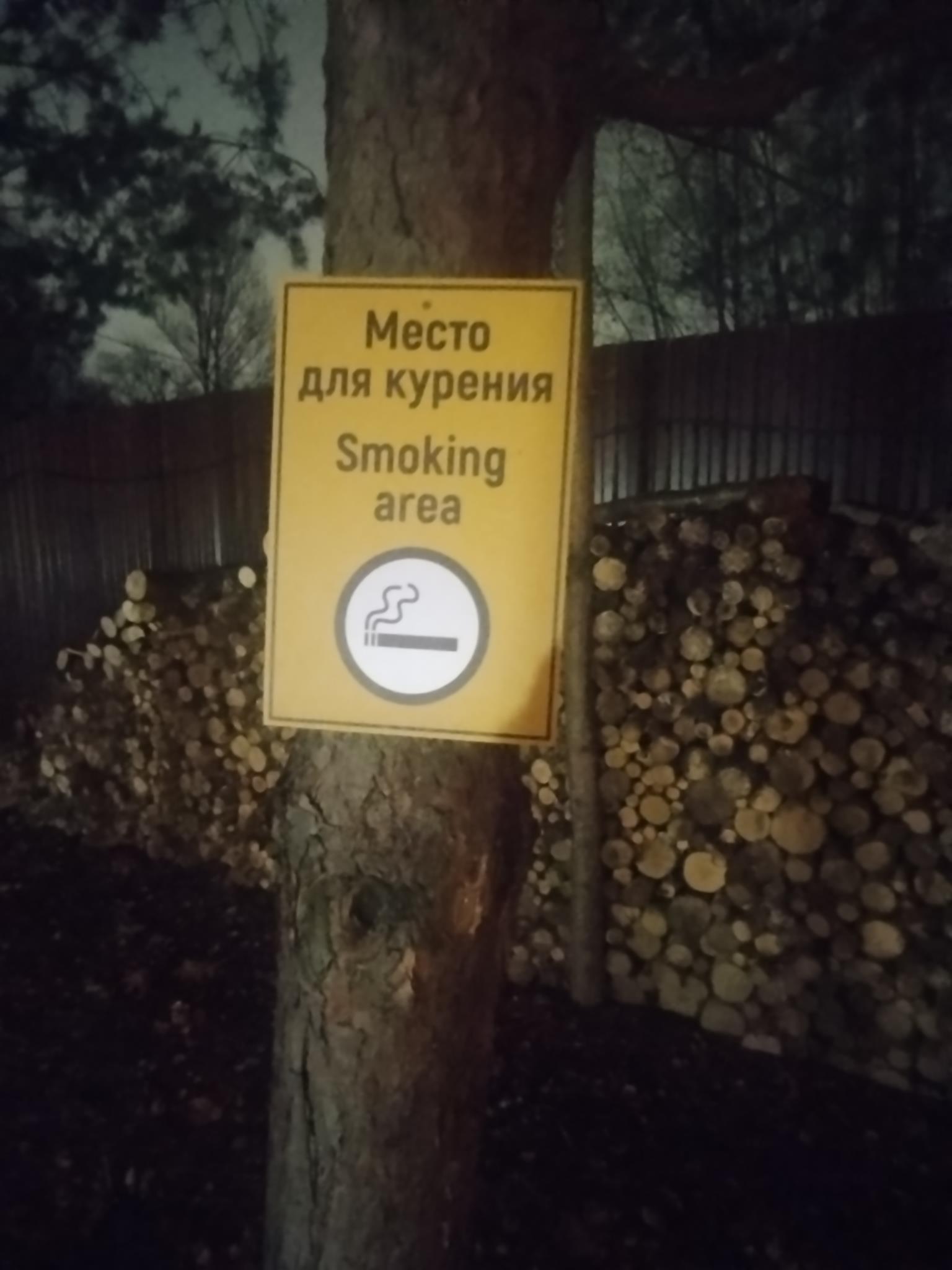 Фото Лесной Шереметьево