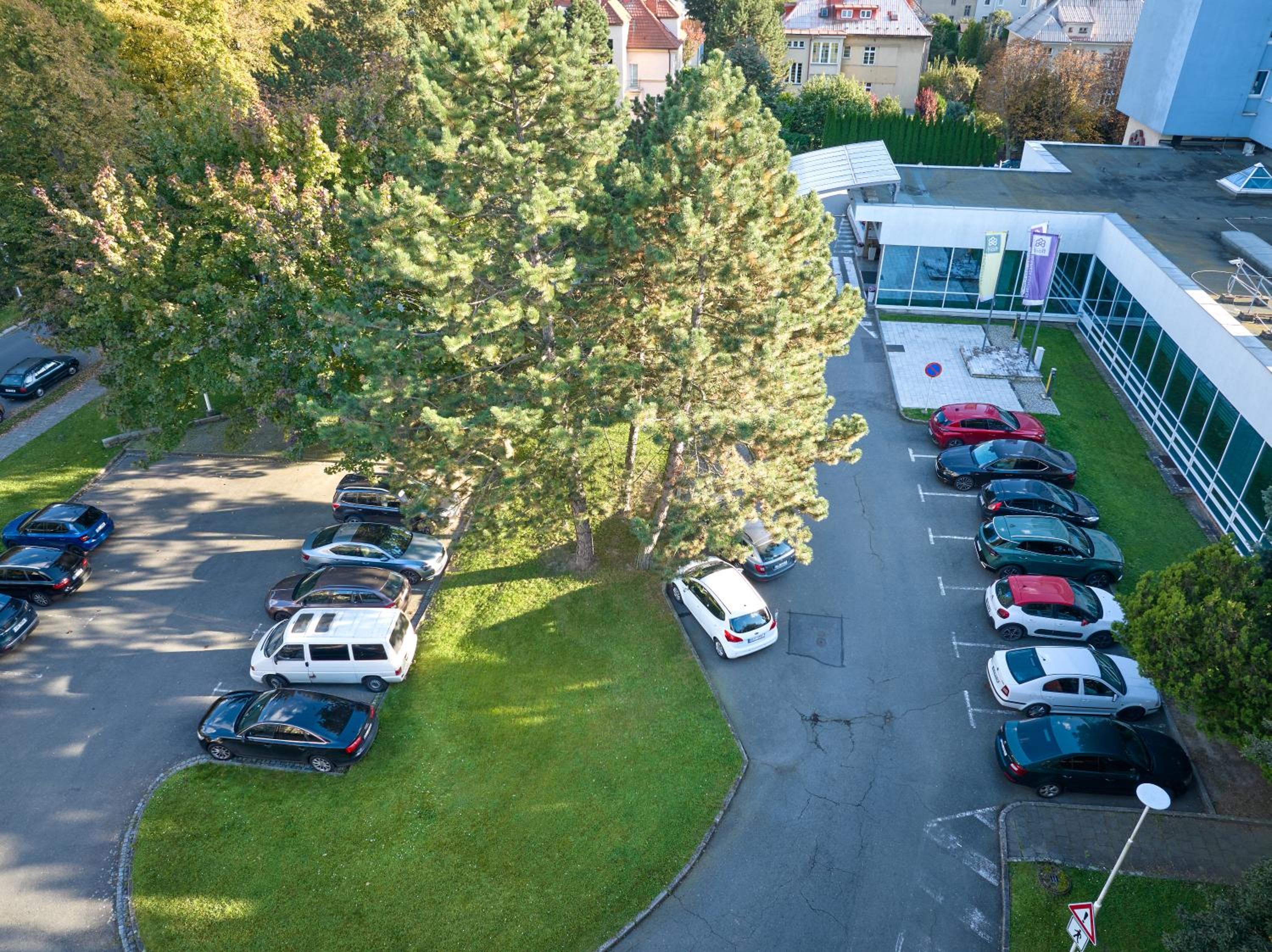 Фото Hotel Flora