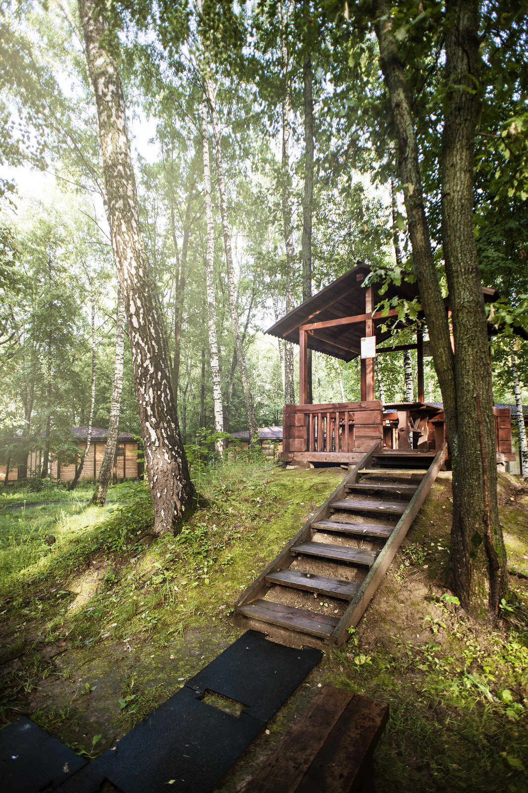 Фото Фореста Фестиваль Парк