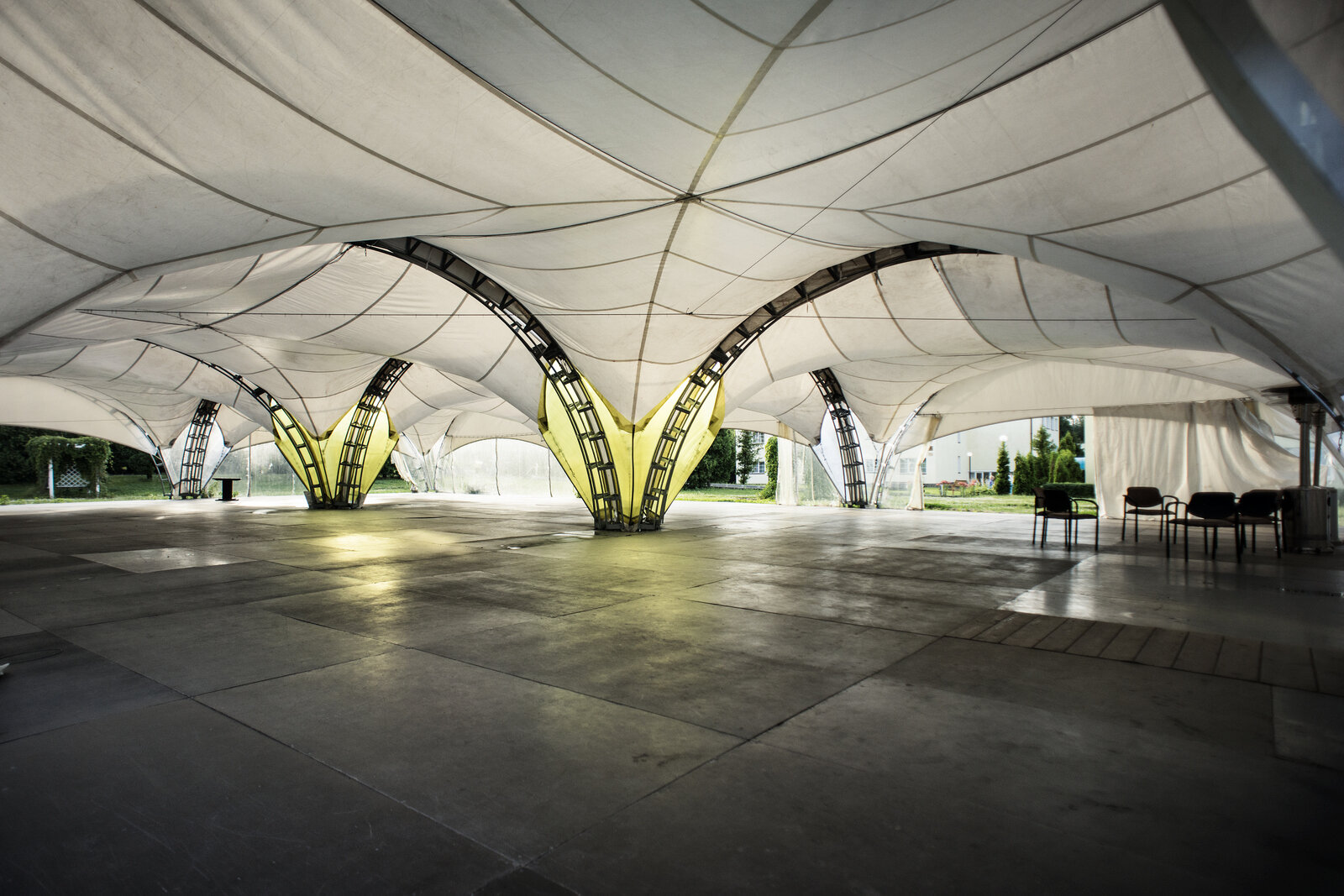 Фото Фореста Фестиваль Парк