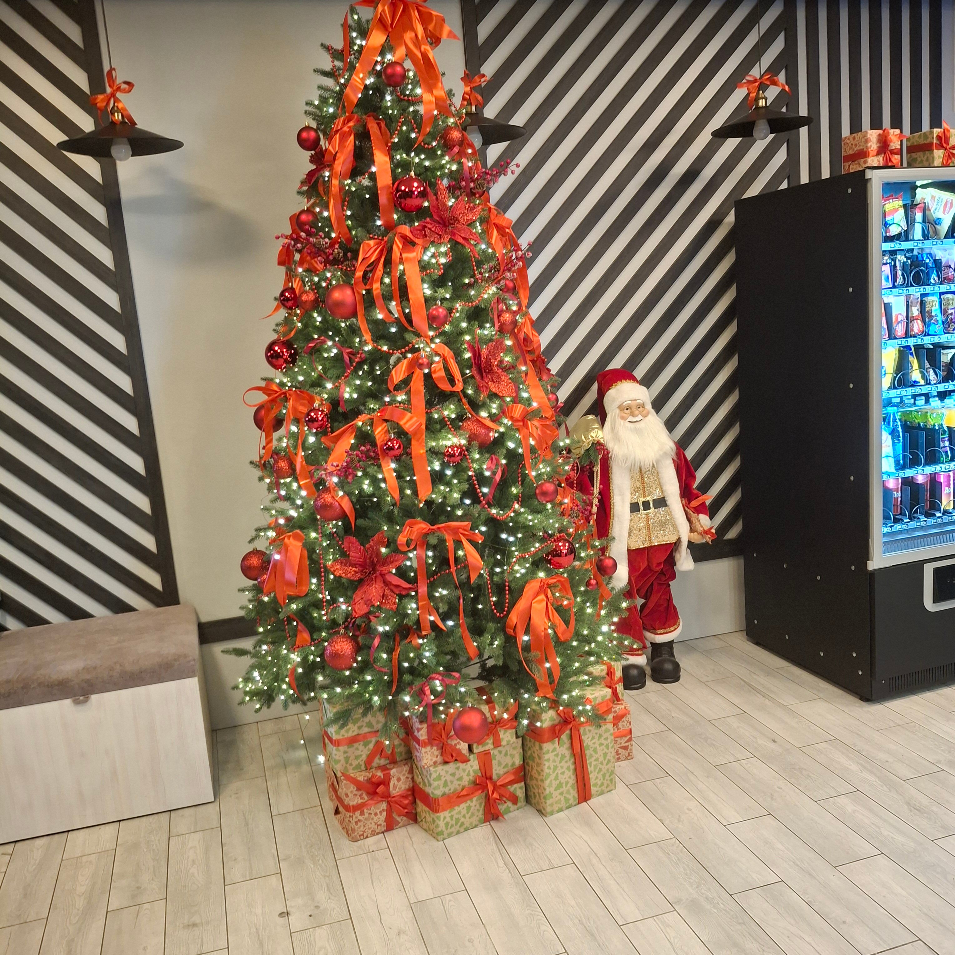 Фото Сириус