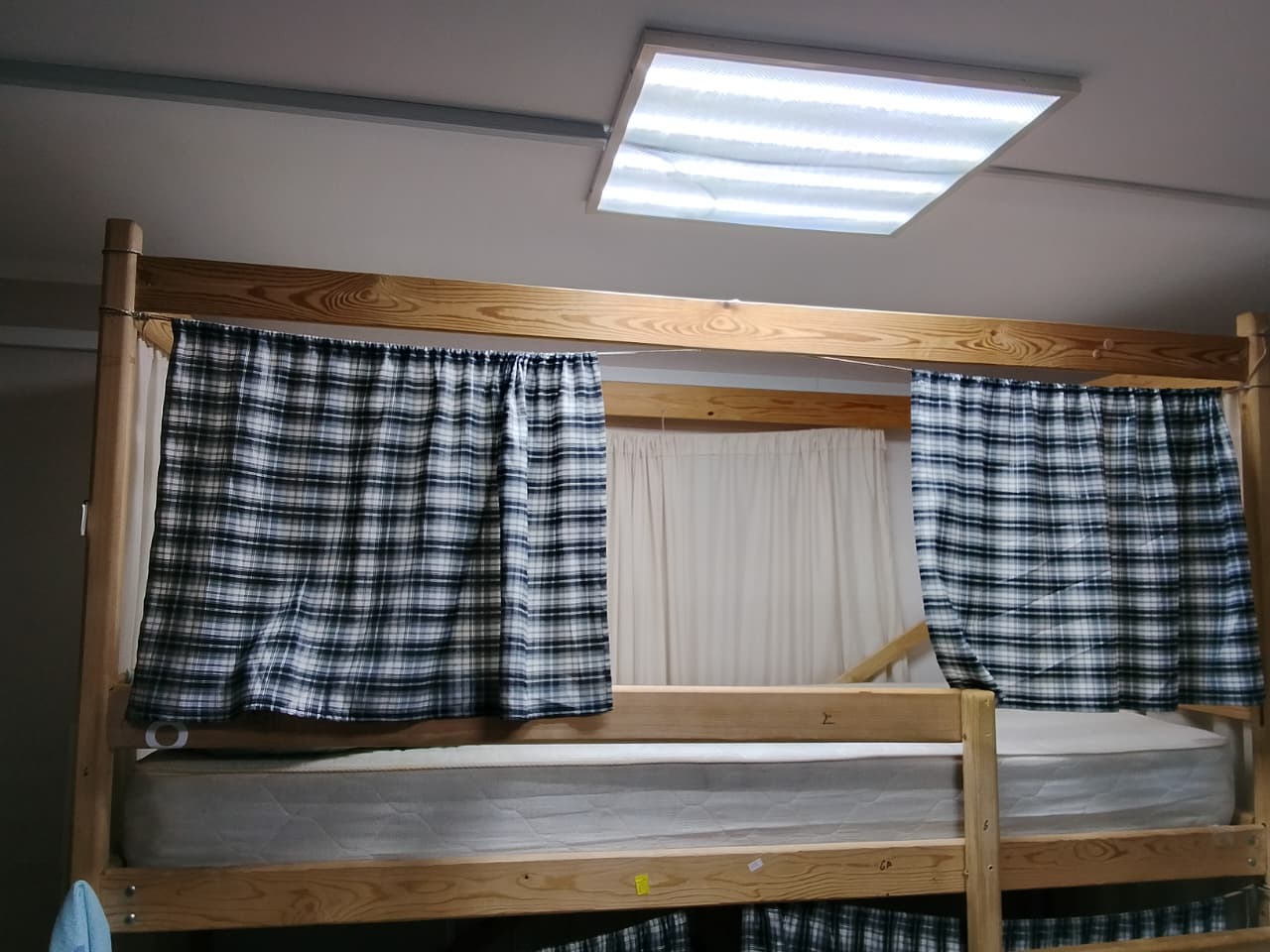 Фото Клевер