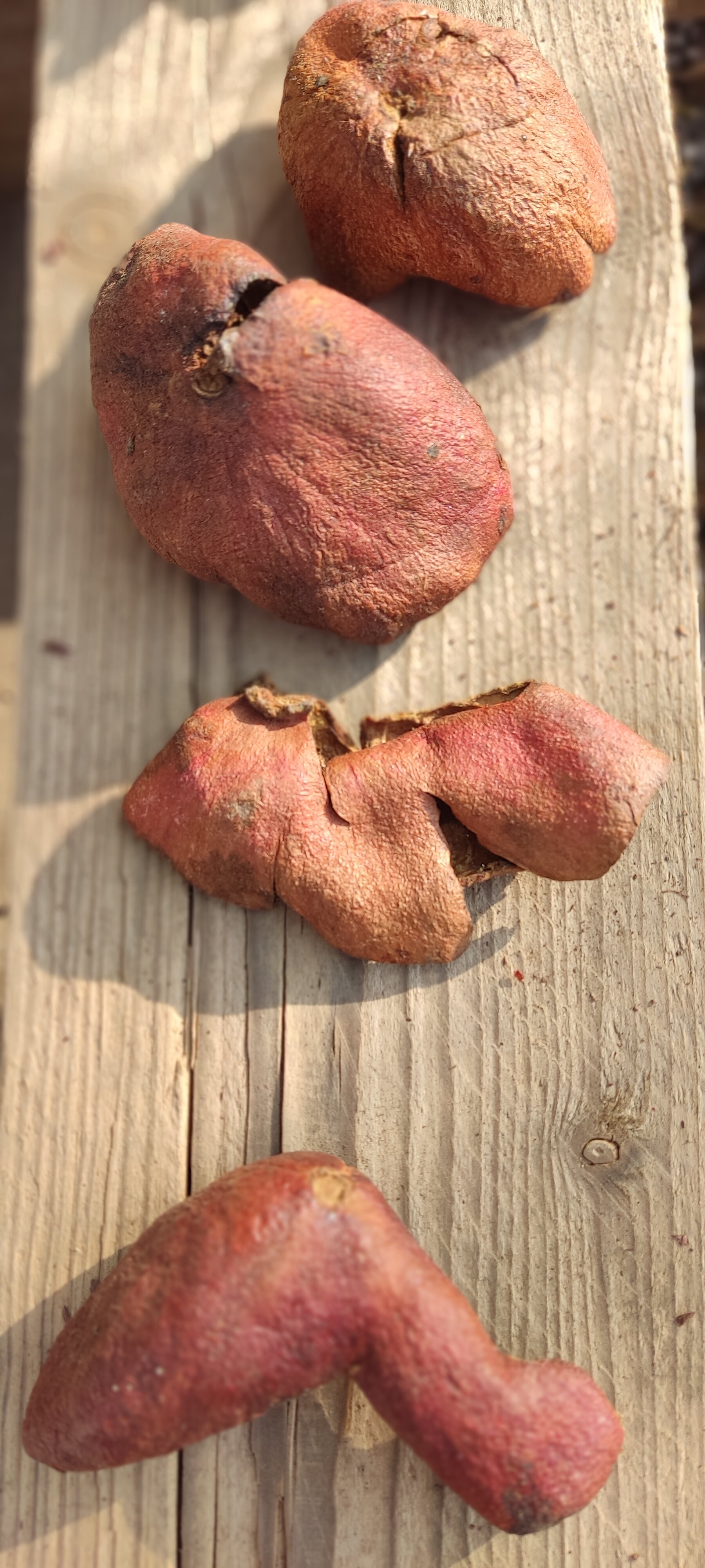 Фото Woolway Studios