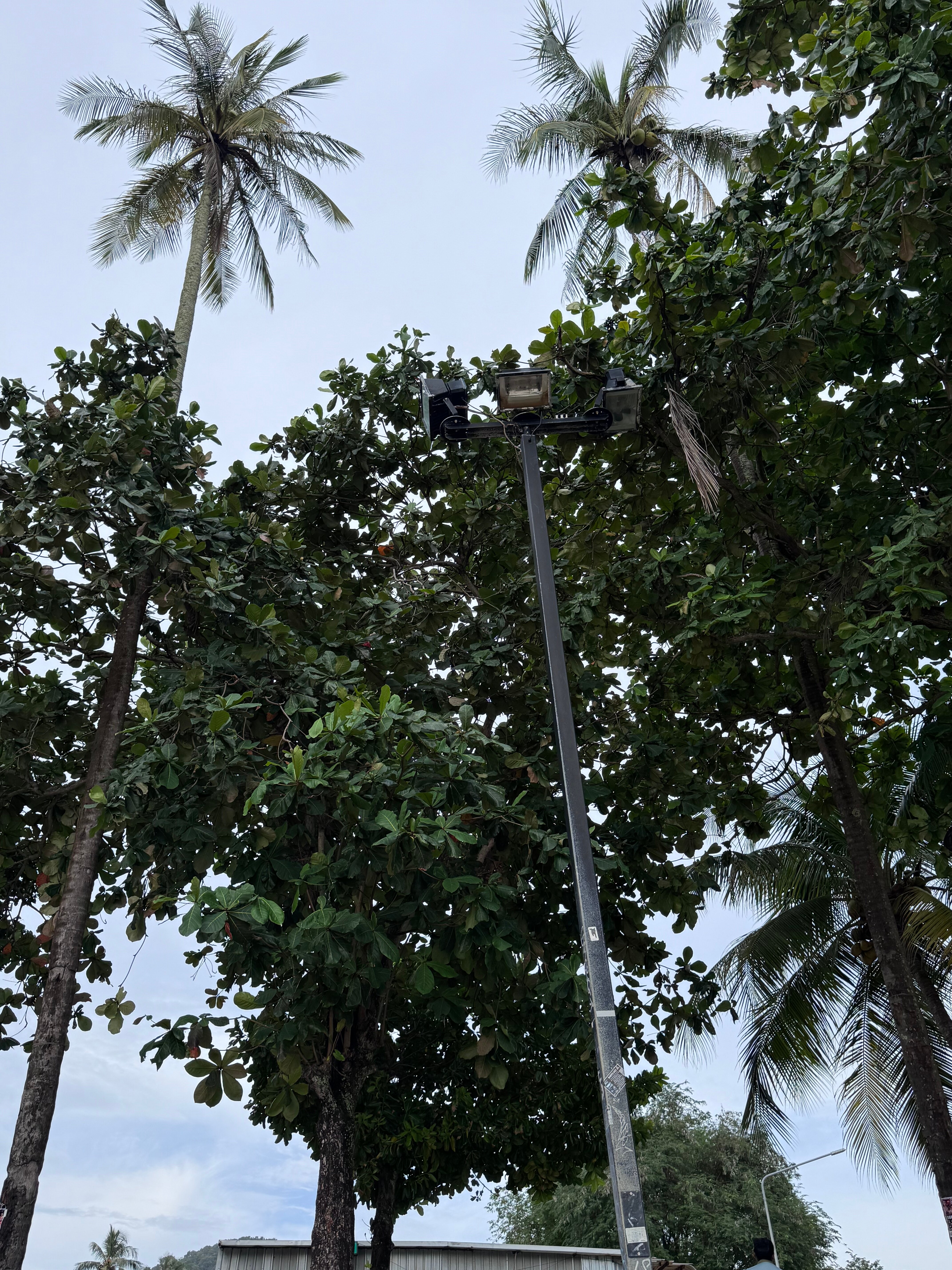 Фото Ao-Nang Sunset Hotel