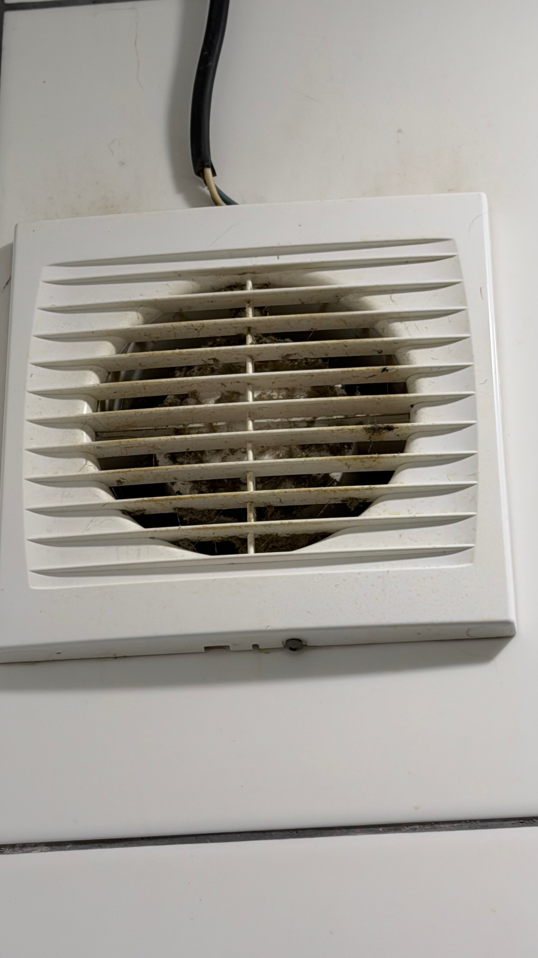 Фото Грин холл