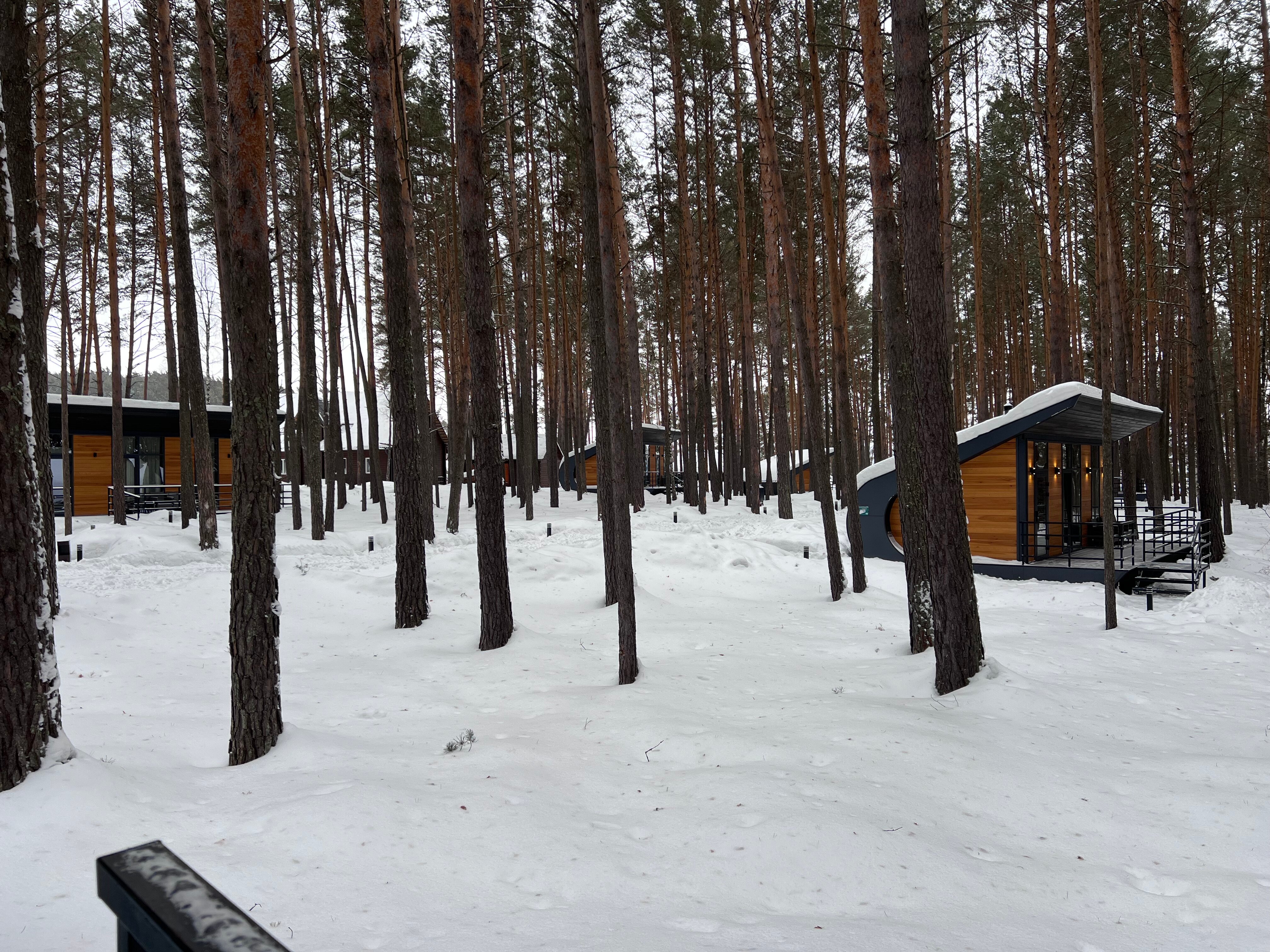 Фото ForRest