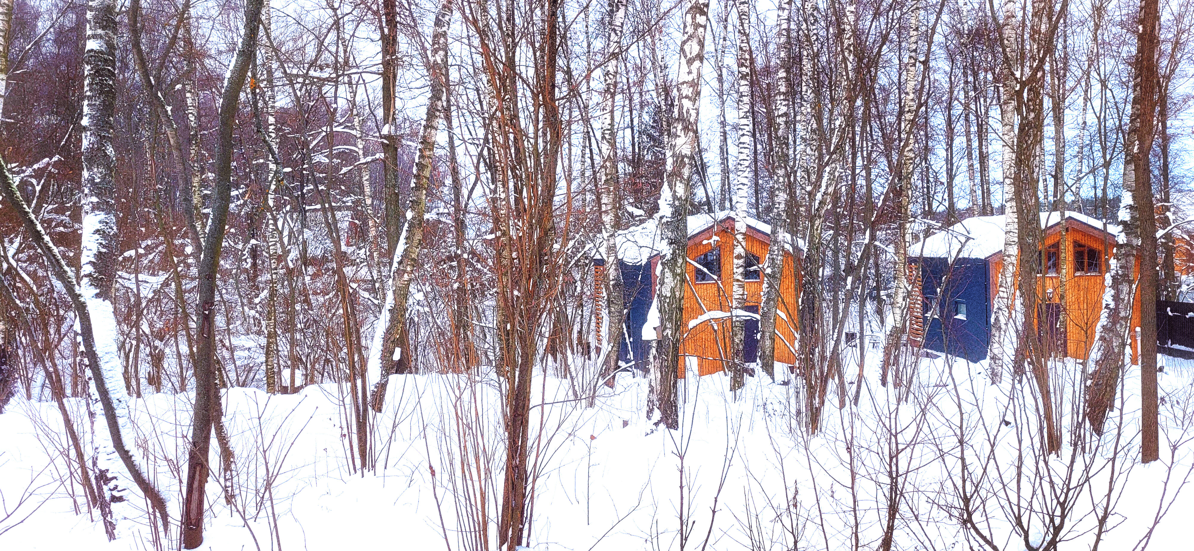Фото Ореховая роща