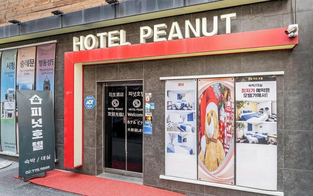 Фото Peanut Hotel