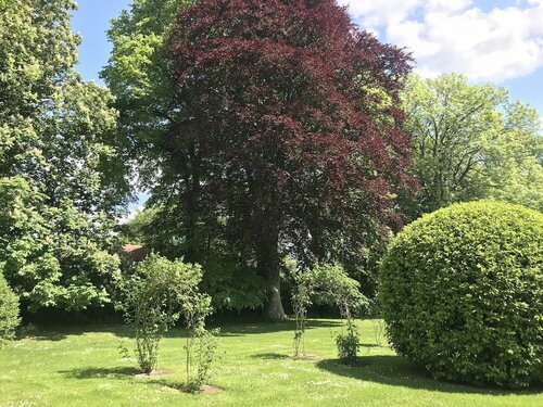 Гостиница Best Western Shaftesbury The Royal Chase Hotel в Шефтсбери