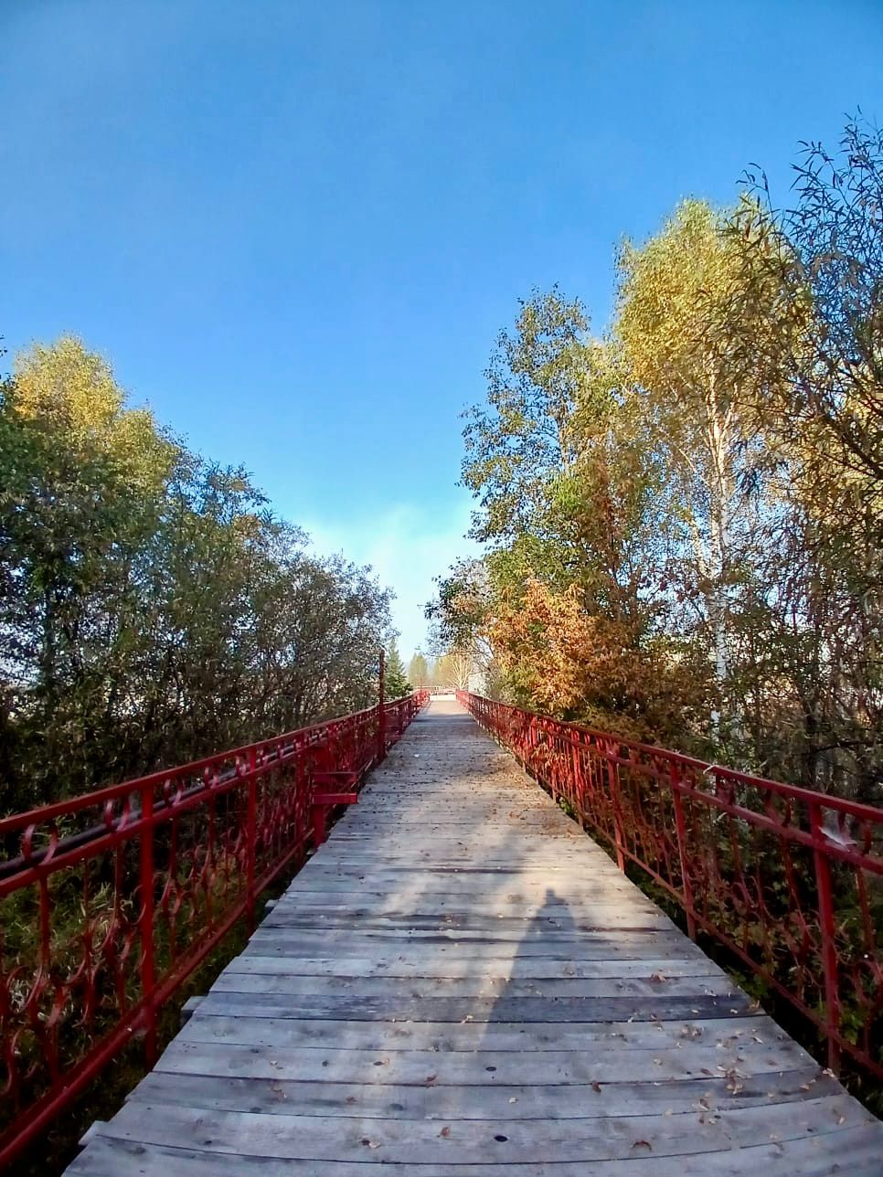 Фото Санаторий-профилакторий Дюжонок