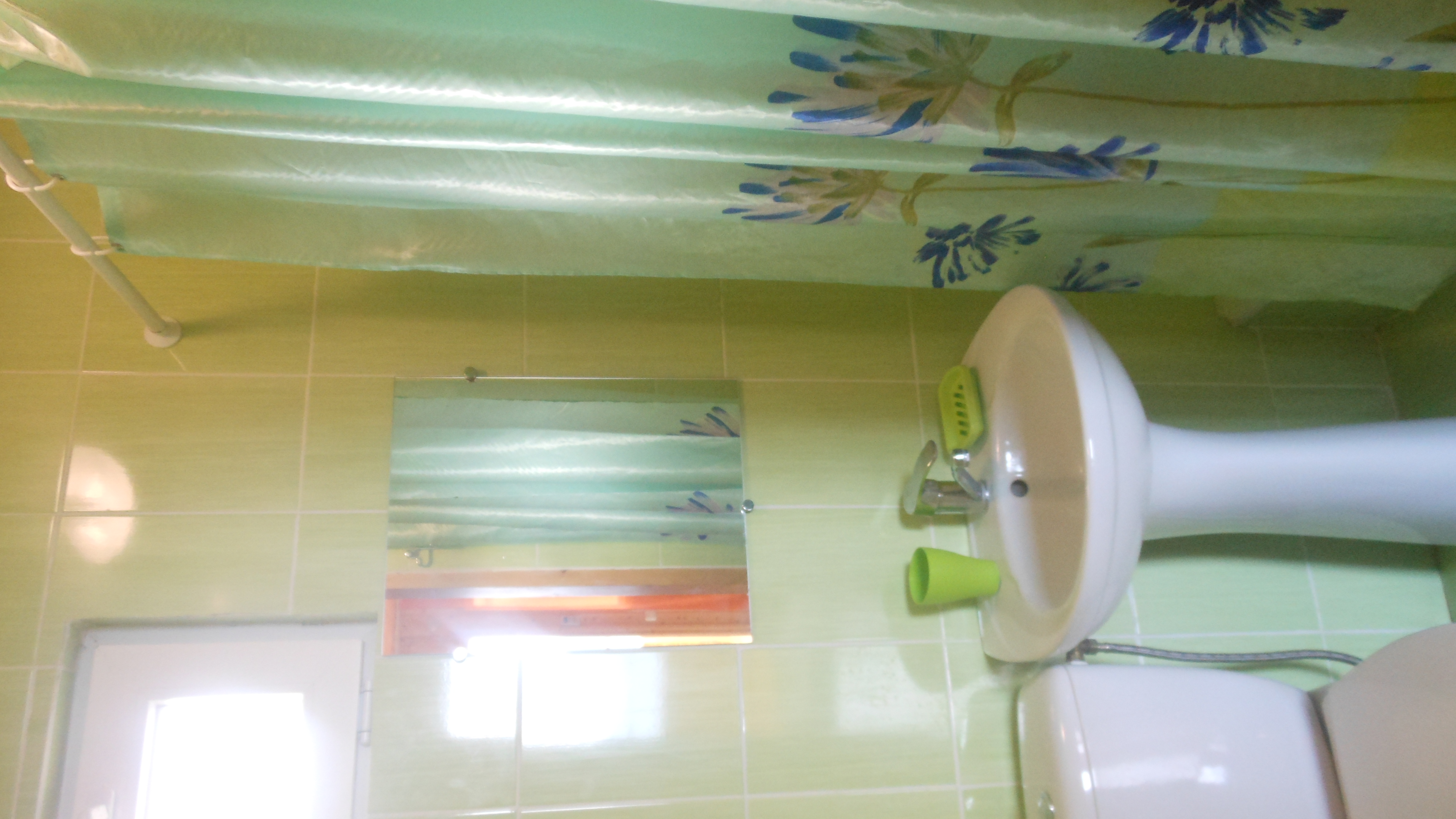 Фото Афалина